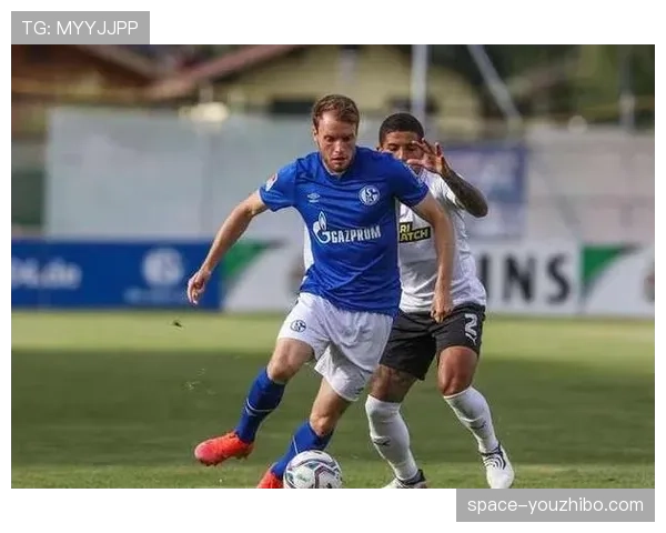 现场:尽管球队降级在即,达姆施塔特球迷仍高歌全程